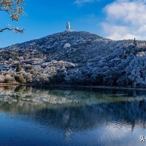 福建有什么水生动植物？
