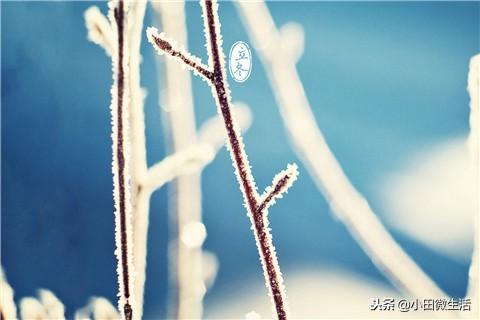 立冬节气怎么过比较好