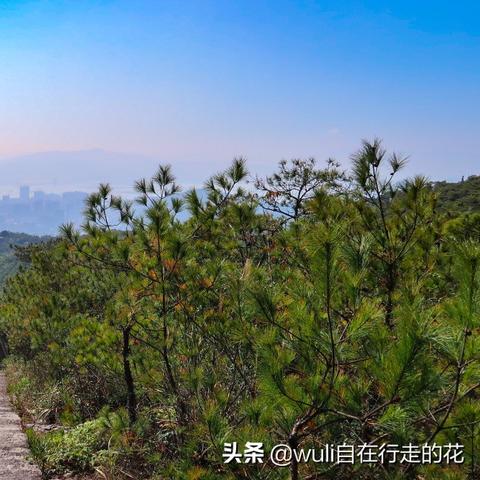 福州到桂林自由行攻略相关长尾关键词有哪些