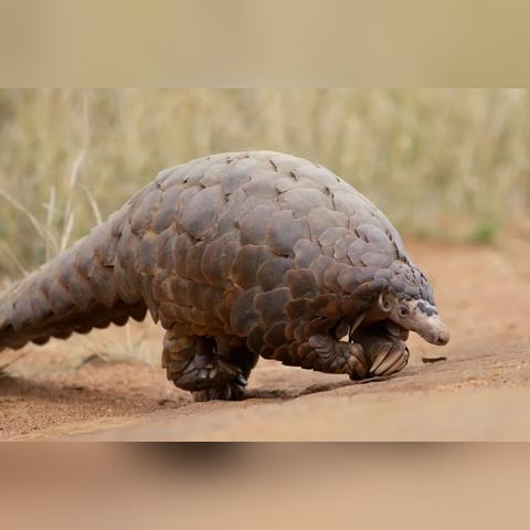 广州树下相关长尾关键词有哪些