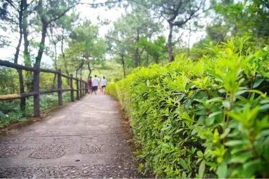 美爆！韶关深秋最值得一去的6条高颜值线路，找个好天气徒步去！