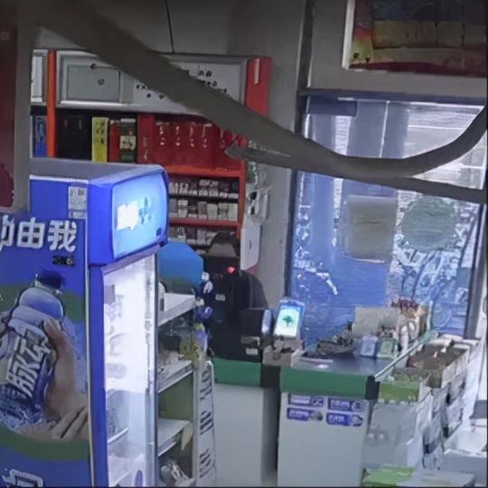 动态｜沪警方回应女子被装行李箱抛尸；中消协提示警惕以房养老骗局