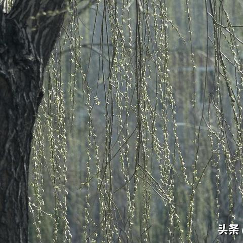 7 8月太原气温的长尾关键词有哪些