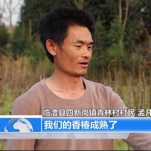 怎么看八字适合干餐饮_怎么看八字合不合(八字怎么看适合职业)