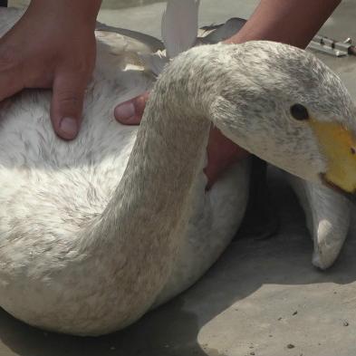 临沂市救助管理站的长尾关键词有什么