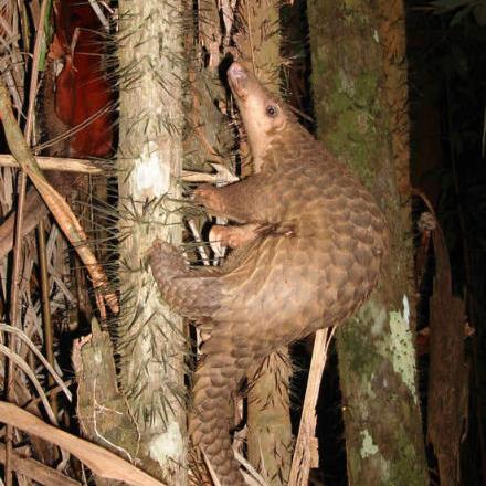 广州咬指甲相关长尾关键词有哪些