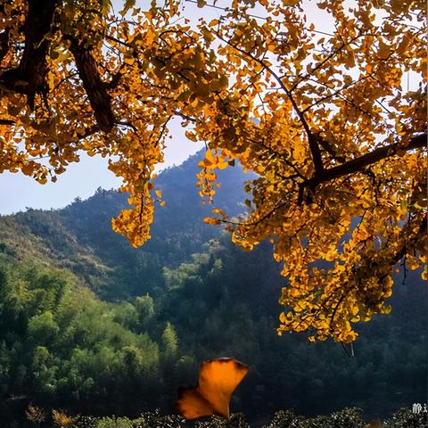 杭州市是哪个纬度