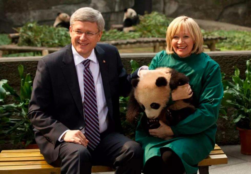 日本政府官员透露：大熊猫租借项目已经停止