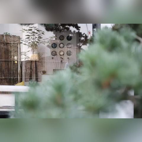 大连市柒号民宿怎么样