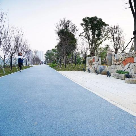 厦门油菜花公园的相关长尾关键词有哪些