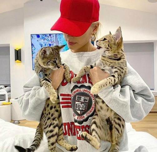 寿司怎么取名宝宝起名（哪里可以吃到正宗的猪杂）