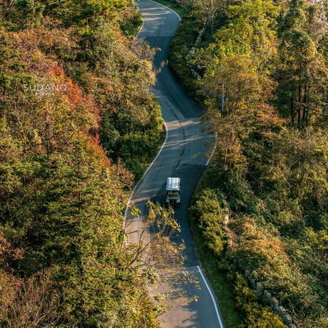 武汉市初冬适合钓什么鱼