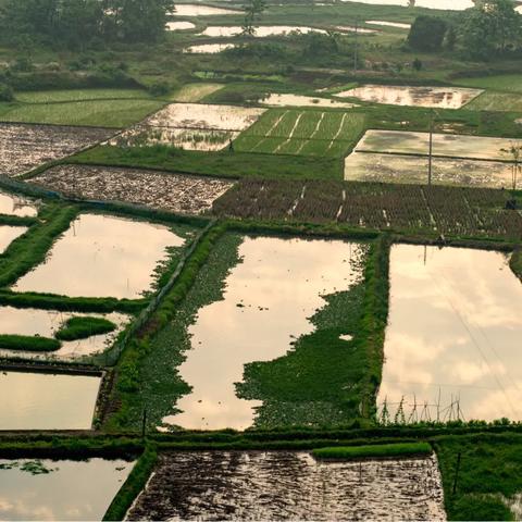 桂林幸福美地相关长尾关键词有哪些