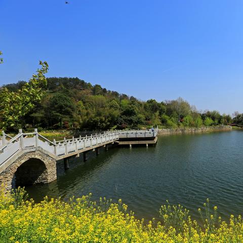 武汉市水务局是什么单位