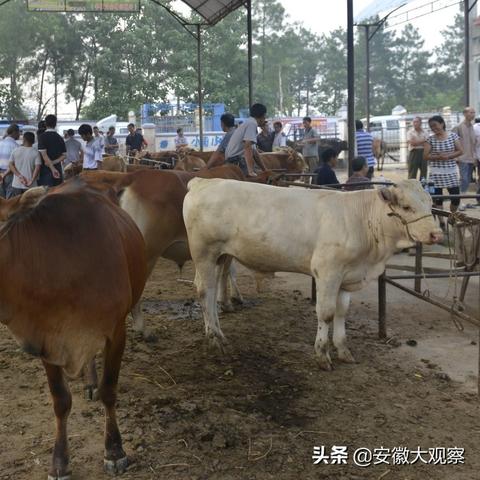 上海和浙江哪个离江西近？