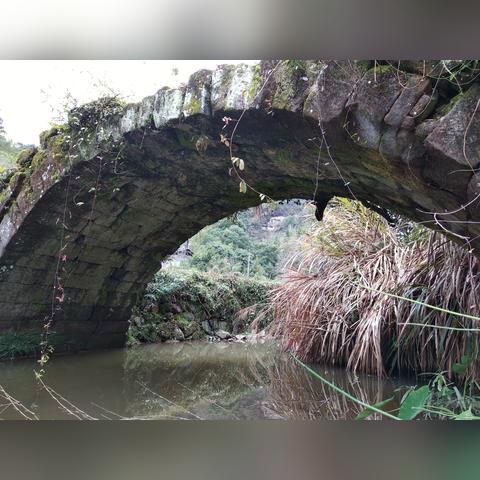 怎么样可以在福建上学