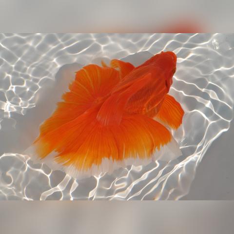 广州有什么好去处相关长尾关键词有哪些