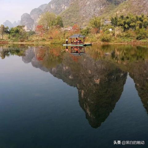 桂林市骆驼奶哪里有