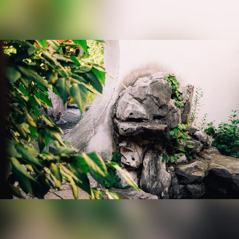 苏州市全民保险叫什么名字