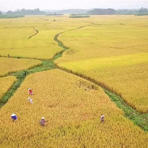 南宁市农村信用社怎么样