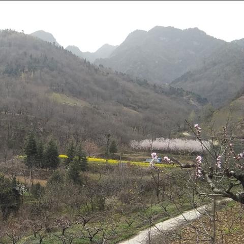 西安求桃花相关长尾关键词有哪些