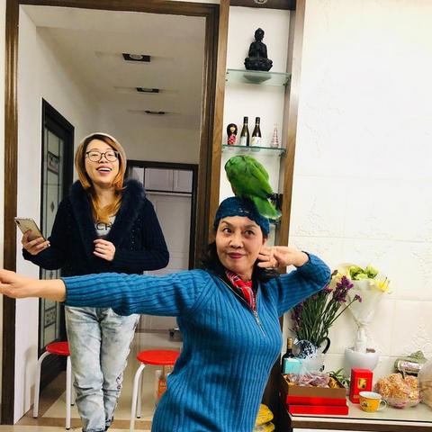 南宁班车鹦鹉的相关长尾关键词有哪些