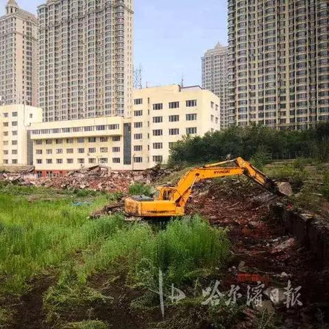 人造白蛋白哈尔滨相关长尾关键词有哪些