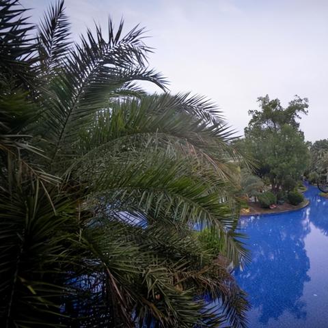 厦门国际山庄的相关长尾关键词有哪些