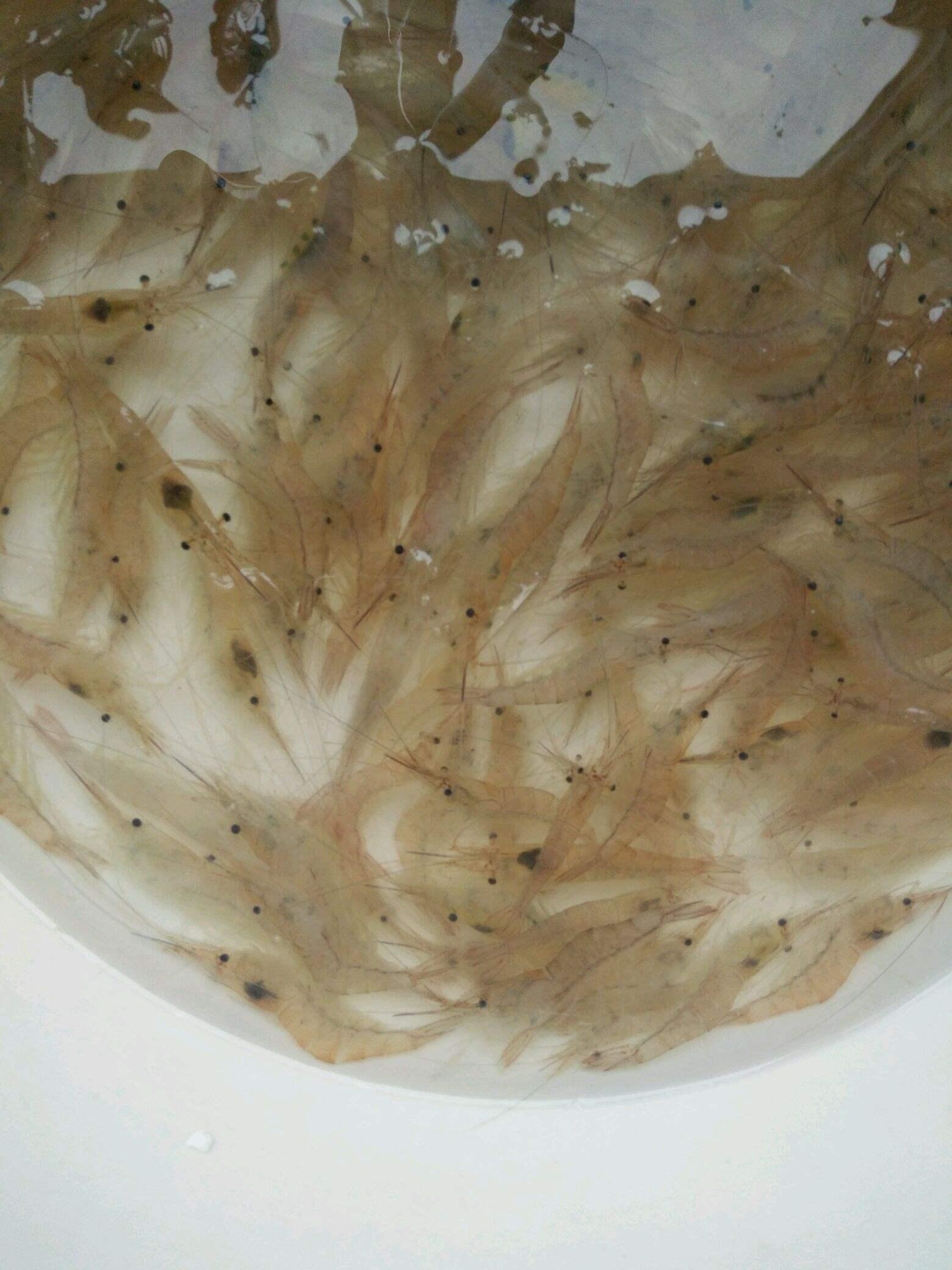 美食活动有什么好处（现在有些家长不断给孩子补课）