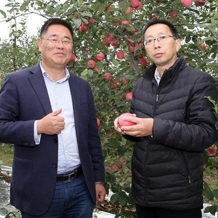 厦门优鲜果园的相关长尾关键词有哪些