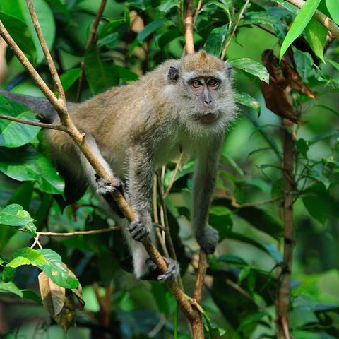 武汉卢老师的相关长尾关键词有哪些