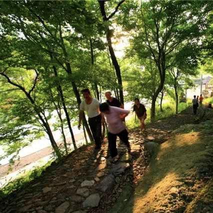 宁波晨的相关长尾关键词有哪些