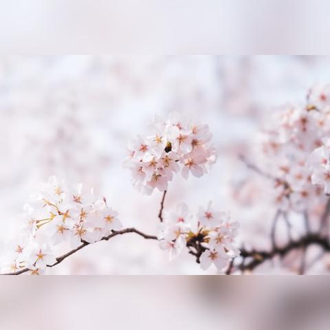 武汉周边有没有千米高山？