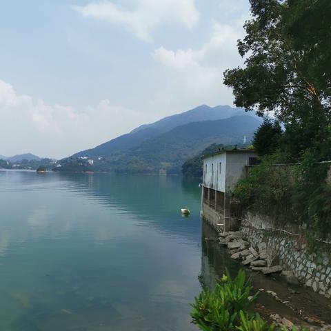 东莞市水库鱼哪里好吃点