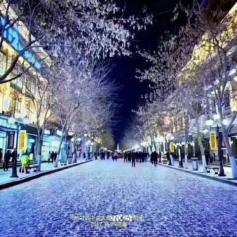 哪些地方属于哈尔滨市