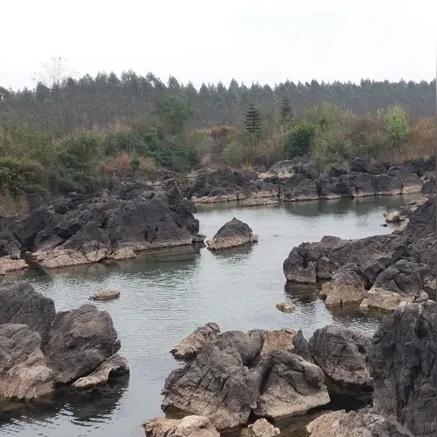 从南宁市去宾阳怎么坐车