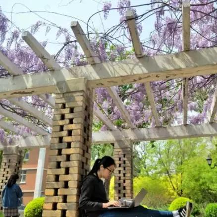 天津哪个大学可以赏花