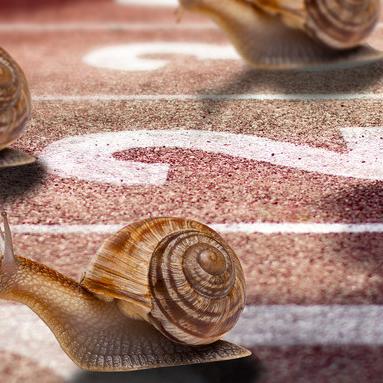 新人做哪个跨境平台