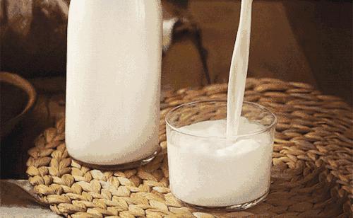 今日鲜奶谱生牛乳味道酸(光明新鲜牛奶与酸奶的区别)
