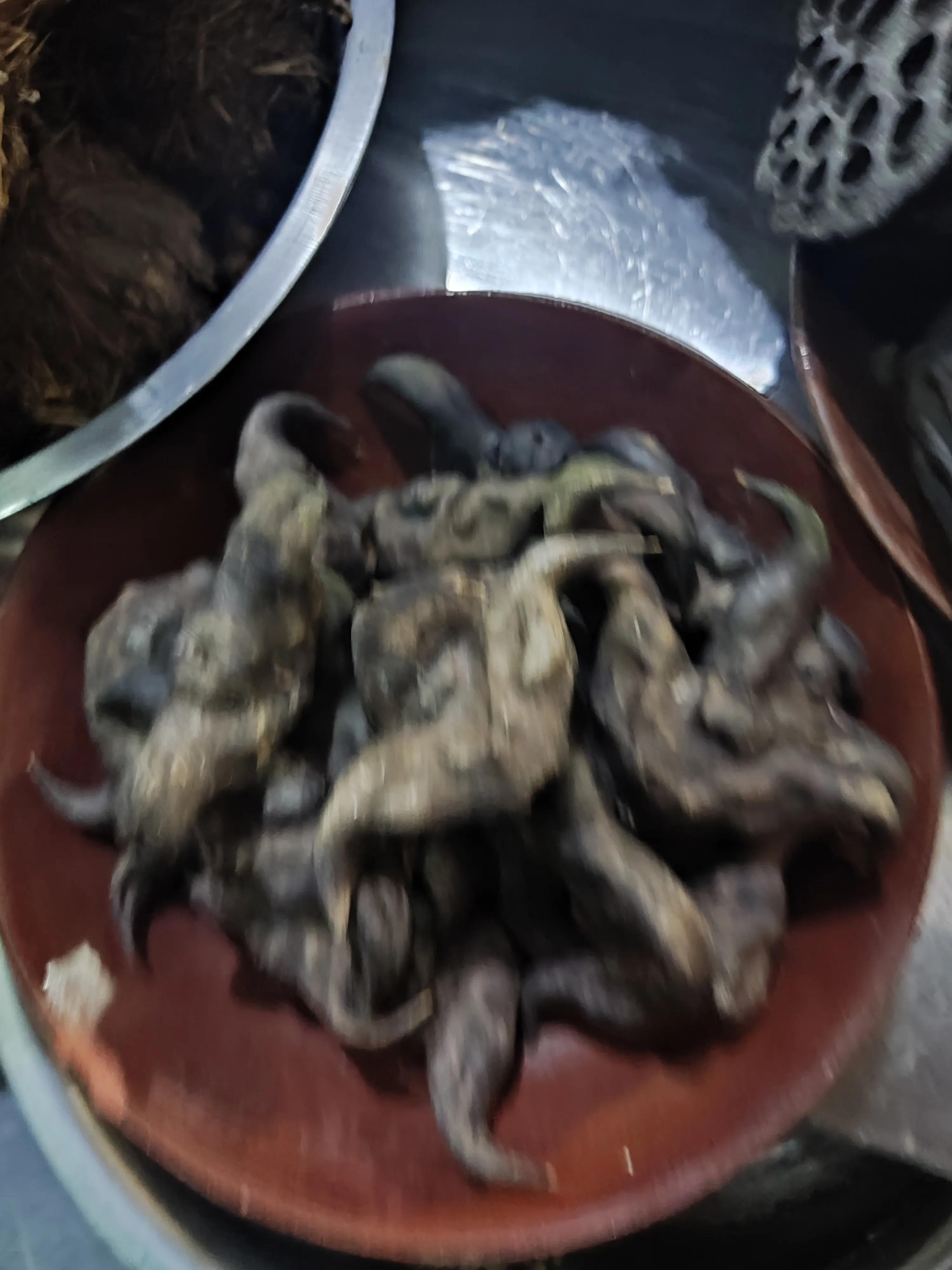 周日休息做什么美食（星期天做好早餐女儿女婿不起来吃饭）
