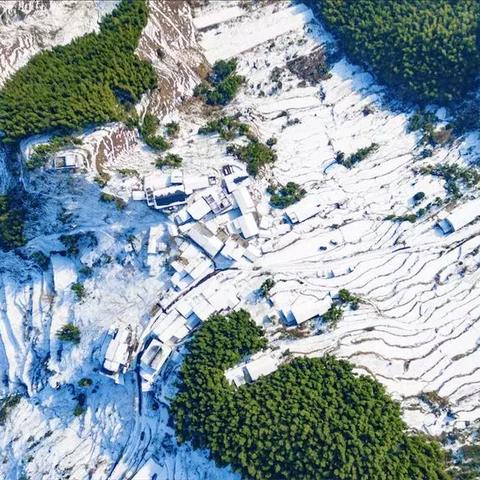 宁波市哪个区域下雪了啊