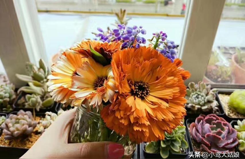 上班族想做抖音副業(yè)做哪個領域好呢女生35歲女人做抖音適合拍什么視頻作品 運營百科