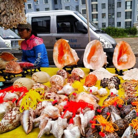 石家庄市宫家庄大集的长尾关键词有什么