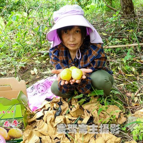 广东省佛山市果园场老板娘的长尾关键词有什么