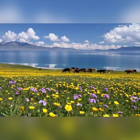 新疆10月气温多少度的长尾关键词有哪些