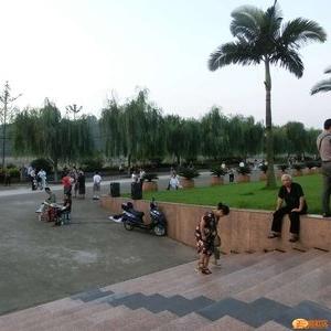 桂林市大洲岛在哪里