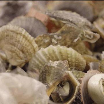 长春市万达海洋馆在哪里