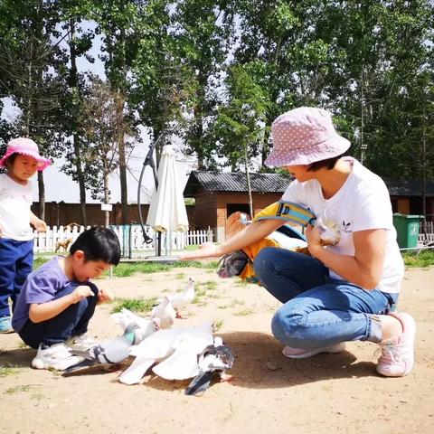 2025.12.27西安今日气温变化情况