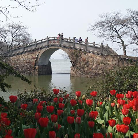 无锡市海鸥汽车的长尾关键词有什么