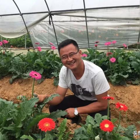 黄石跨境电商运营招聘的相关长尾关键词有什么